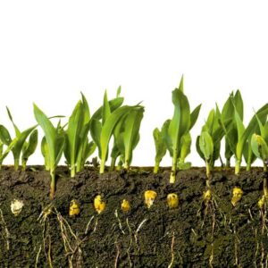 Soil Restorer Bio