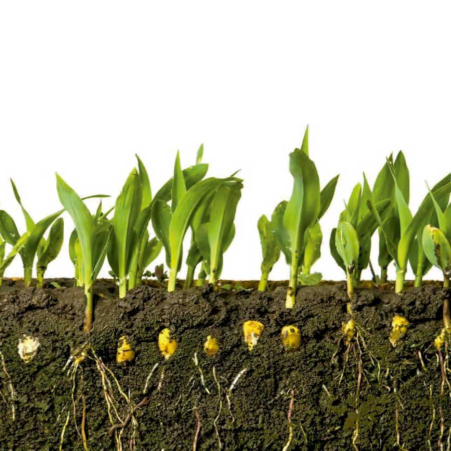 Soil-Restorer-Bio-01