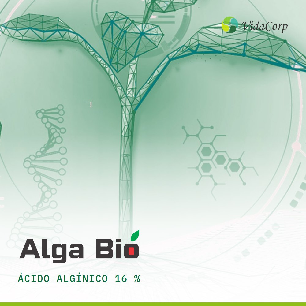 Alga Bio
