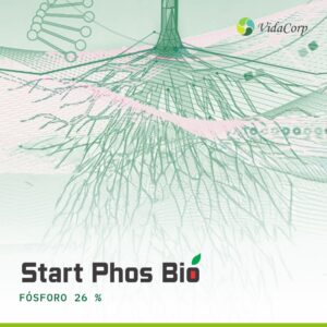 Start Phos Bio - FÓSFORO 26 %