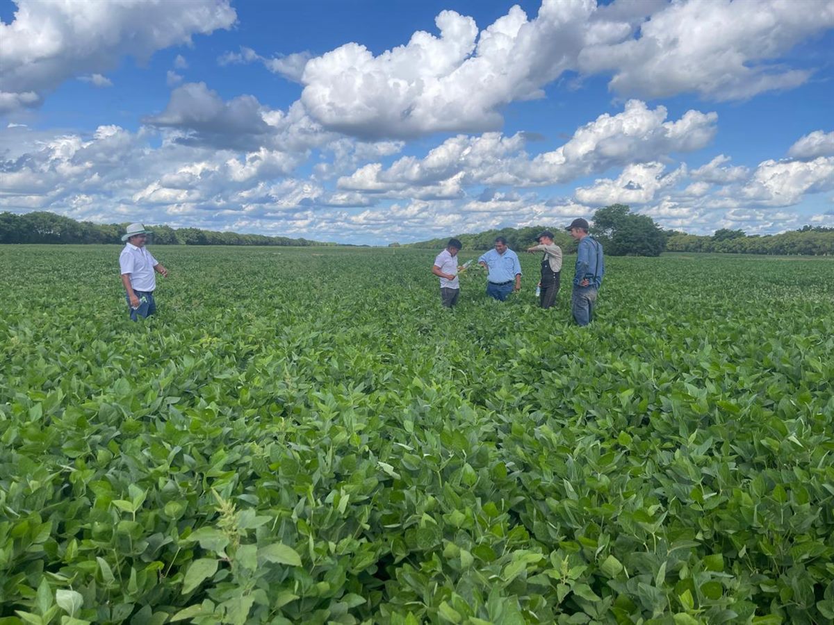 Recorrida de lote con el productor