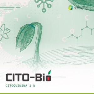 Cito Bio