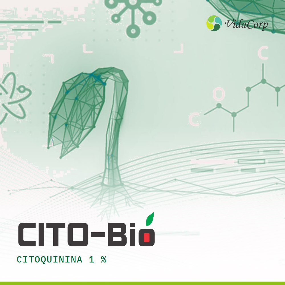 Cito Bio